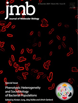 jmb special issue phenotypic heterogeneity 2